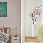 Am Pfaffenteich Apartment
